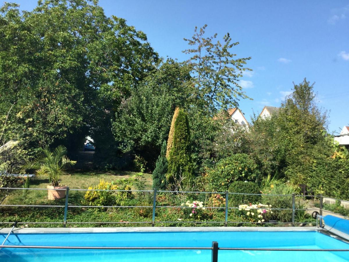 פירמאסנס Ferienwohnung Mit Garten מראה חיצוני תמונה